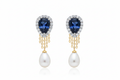 Elegant earrings
